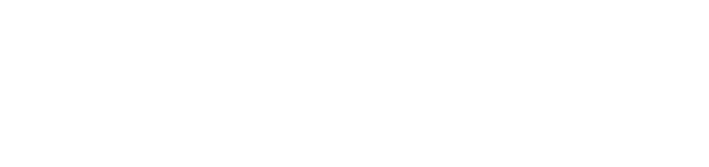 The Budgetnista